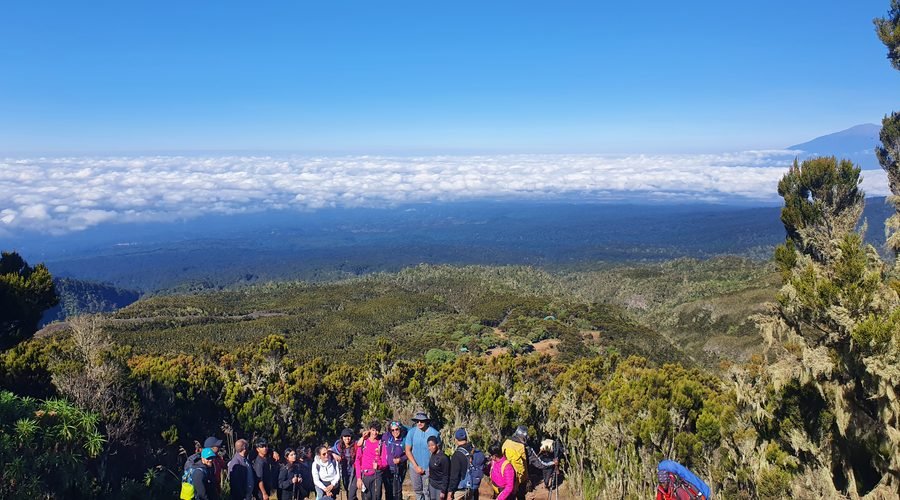 The Best 8-Day Lemosho Route: Conquer Kilimanjaro's Scenic Summit in 2027 and 2028