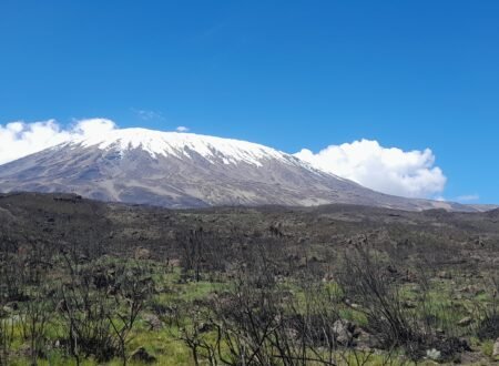 Climbing Kilimanjaro: Machame vs Lemosho Routes (Which is Best?)
