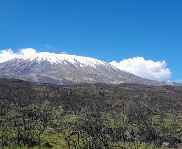 Climbing Kilimanjaro in August 2026