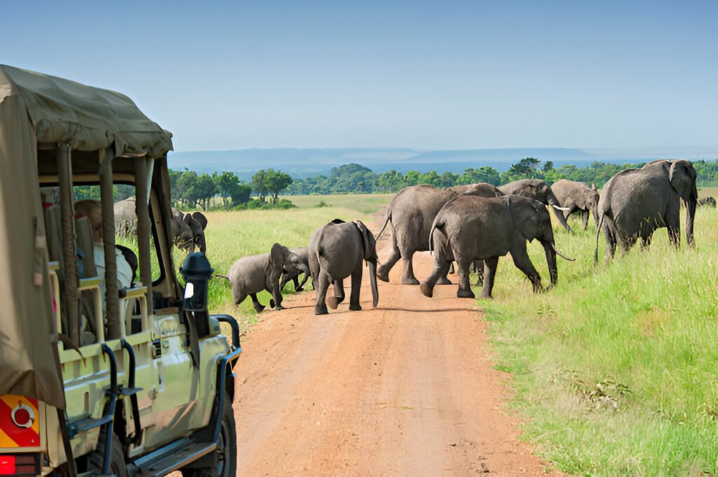 Tanzania in January