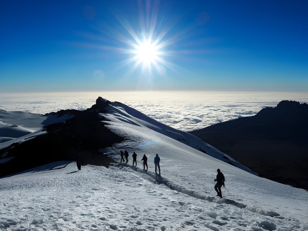 What is at the Top of Mount Kilimanjaro ?