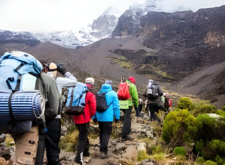 2026-2025 Kilimanjaro Climbing Tours-Group Expeditions