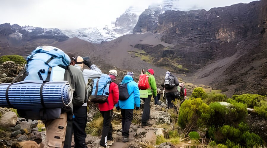2027-2026 Kilimanjaro Climbing Tours-Group Expeditions