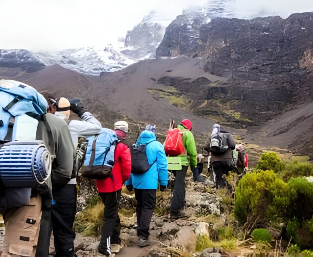 9-days Northern Circuit Kilimanjaro Climb Unique Ascent