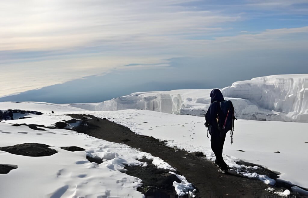 Hikers ascending the slopes of Mount Kilimanjaro