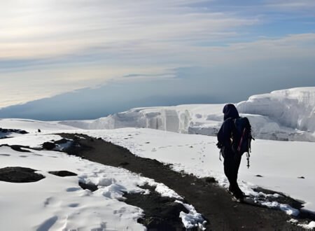 Hikers ascending the slopes of Mount Kilimanjaro