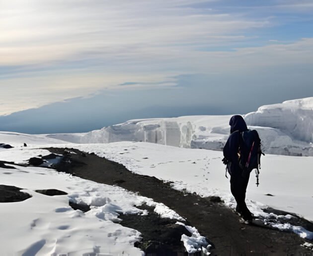 Hikers ascending the slopes of Mount Kilimanjaro