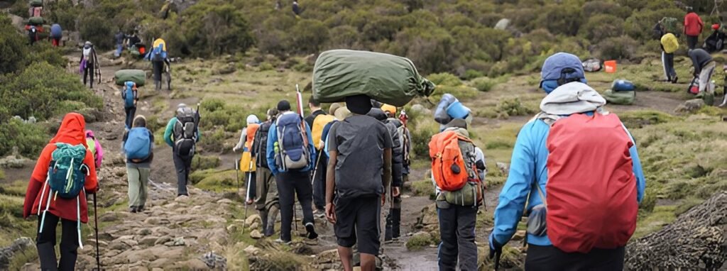 Kilimanjaro Climbing Groups-2025-2026 Tours