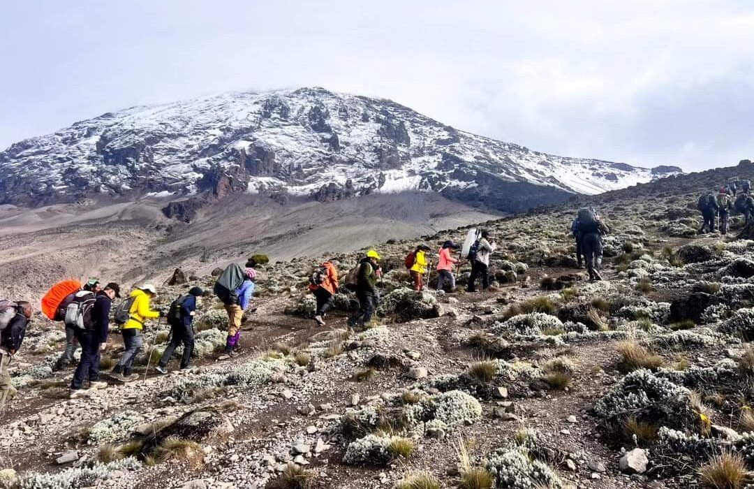 7-Days Rongai Route Kilimanjaro Climb 2025