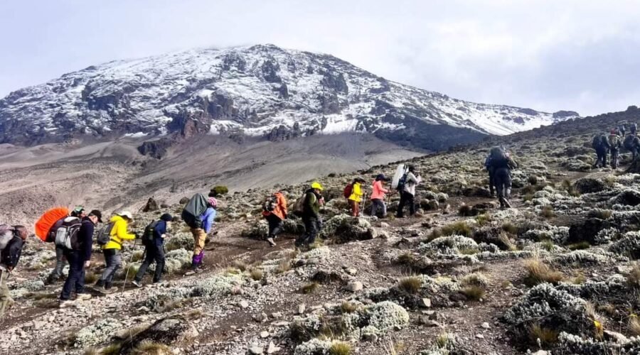 The Cost of Climbing Kilimanjaro: A Comprehensive Guide