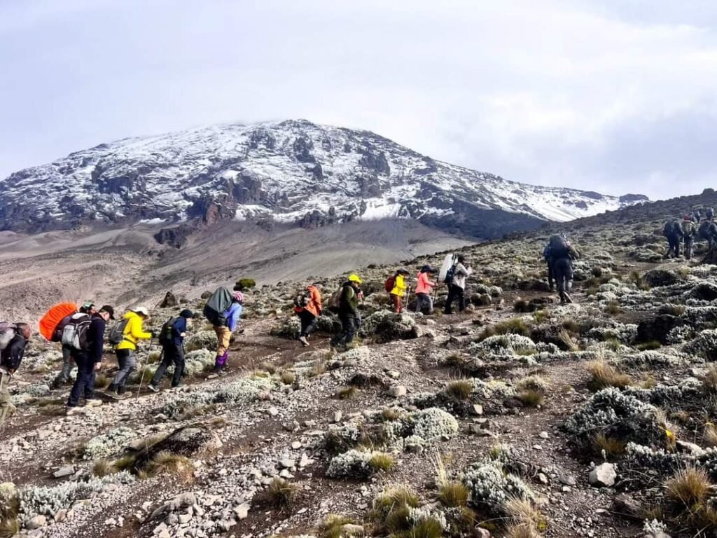 Hikers trekking on the slopes of Mount Kilimanjaro in Tanzania