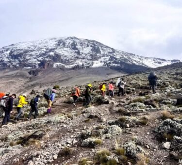 Hikers trekking on the slopes of Mount Kilimanjaro in Tanzania