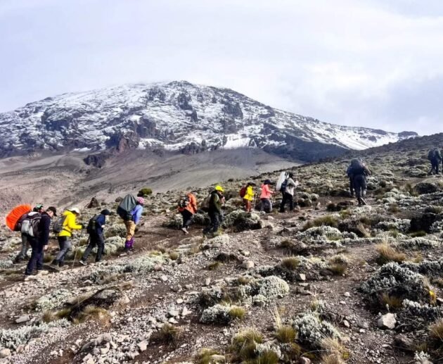 Hikers trekking on the slopes of Mount Kilimanjaro in Tanzania