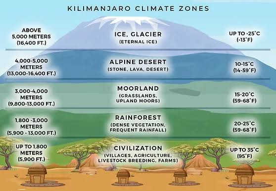 Which Is Higher -Kilimanjaro Climb or Everest Climb ? Complete Guide 2026 Which Is Higher -Kilimanjaro Climb or Everest Climb ? Complete Guide 2026