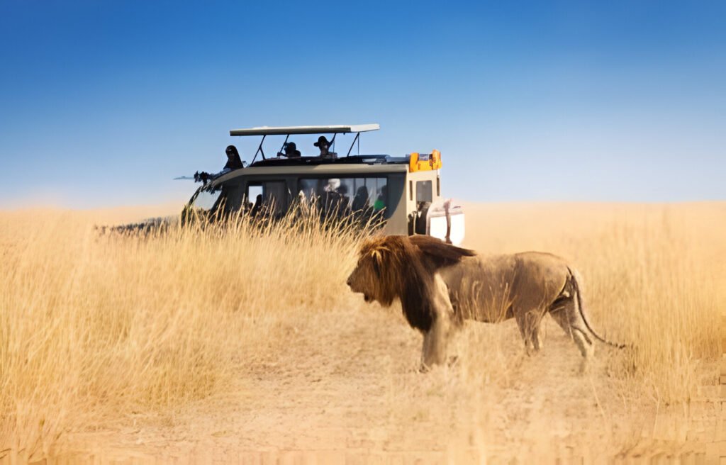 How to Plan Your First Safari