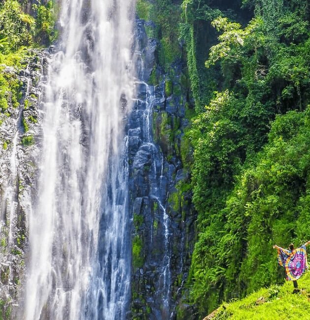 The best full Marangu Day Trip 2026-2027
