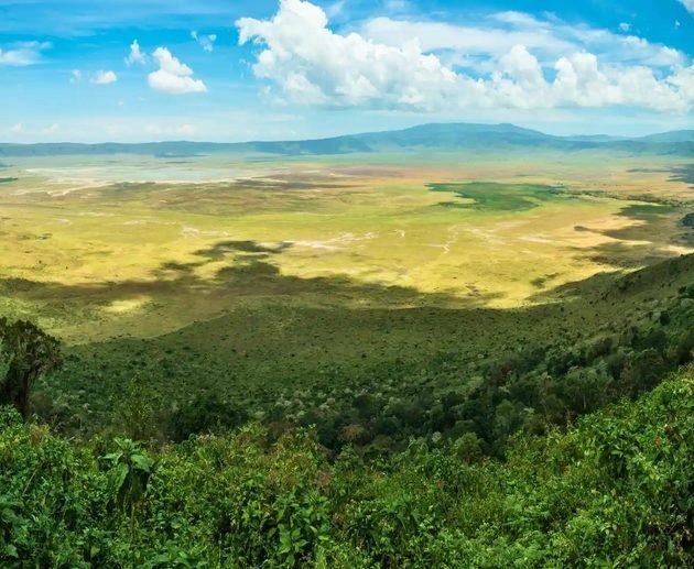 Tanzania in February: The Perfect Time for a Safari Adventure in 2027 and 2028