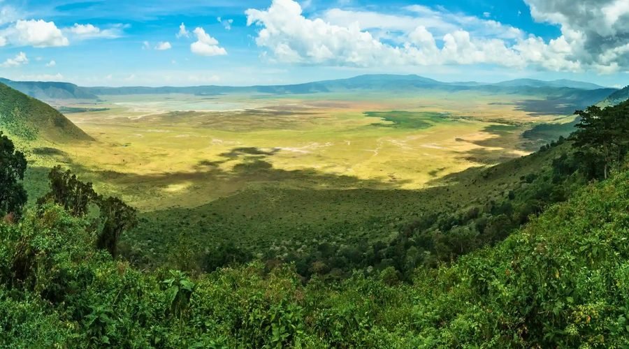 Tanzania in February: The Perfect Time for a Safari Adventure in 2027 and 2028