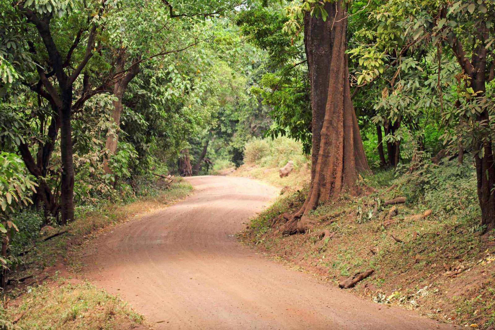 1-Day Trip to Chemka (Kikuletwa) Hot Spring 2025/2026