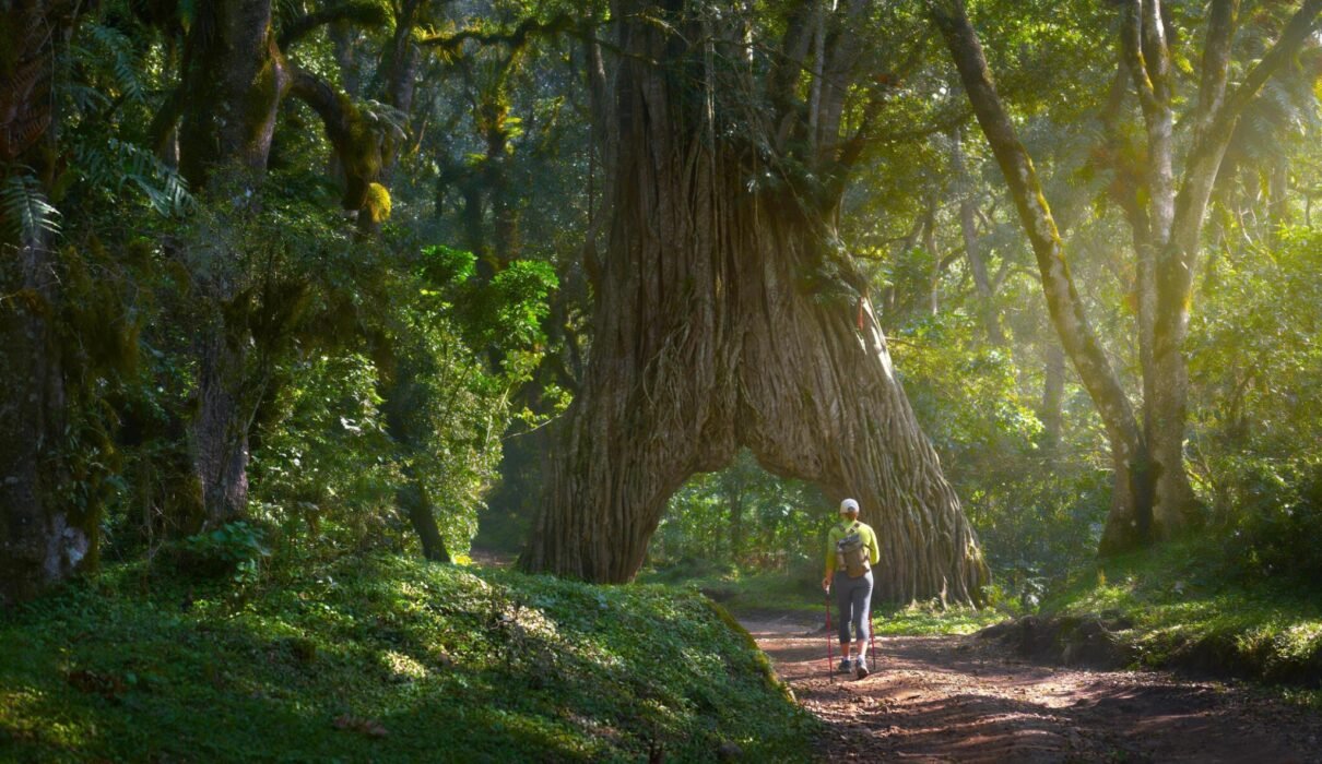 The best 4-days Mount Meru Climbing Tour