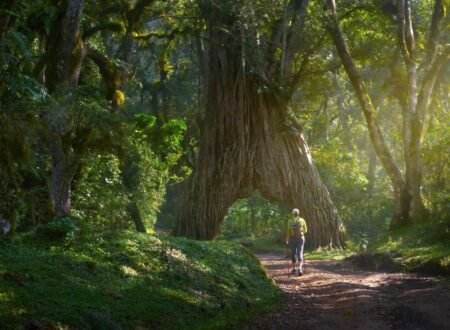 The best 4-days Mount Meru Climbing Tour