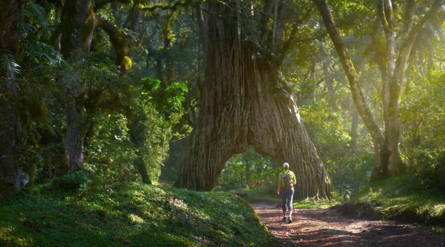 The best 4-days Mount Meru Climbing Tour