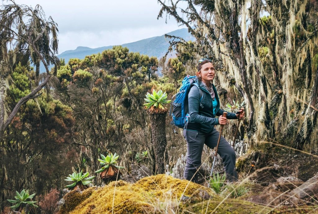 Climbing Kilimanjaro in April 2027: Your Complete Guide to Weather, Routes and Summit Preparation