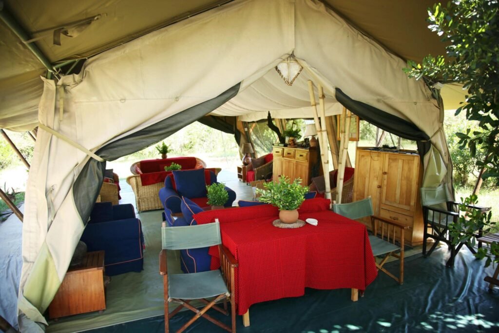 Best Serengeti Safari Lodges and Camps