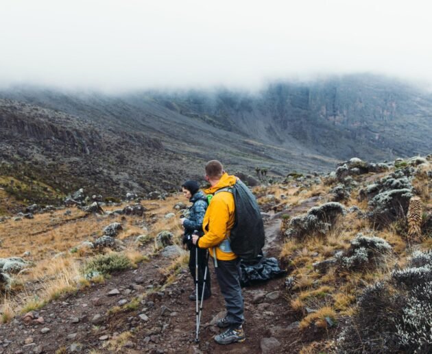 8-DAYS KILIMANJARO CLIMBING LEMOSHO ROUTE 2025