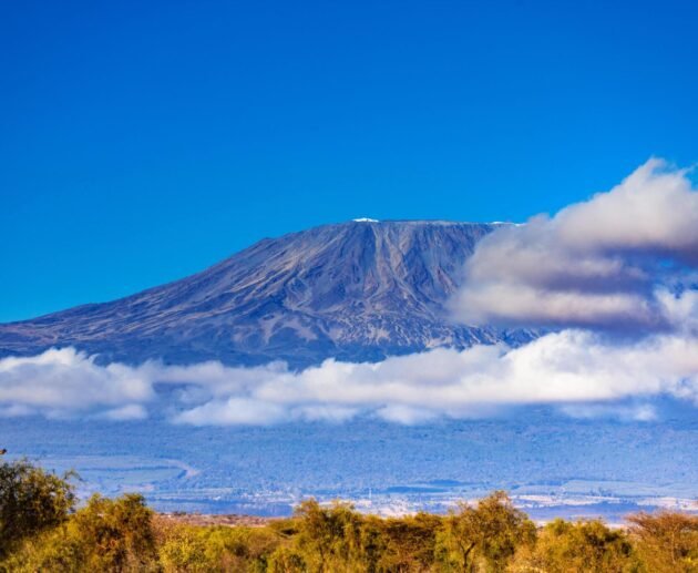 5-Day Umbwe Route Kilimanjaro Climb: Short and Challenging