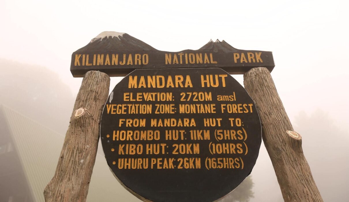 2025 Kilimanjaro Climbing Groups: Dates and Details for an Unforgettable Adventure