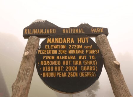 2025 Kilimanjaro Climbing Groups: Dates and Details for an Unforgettable Adventure