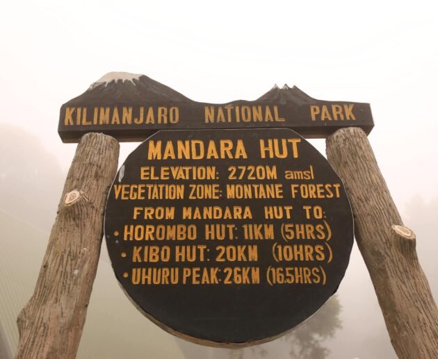 Medical Check-Up Before Climbing Kilimanjaro Trekkers