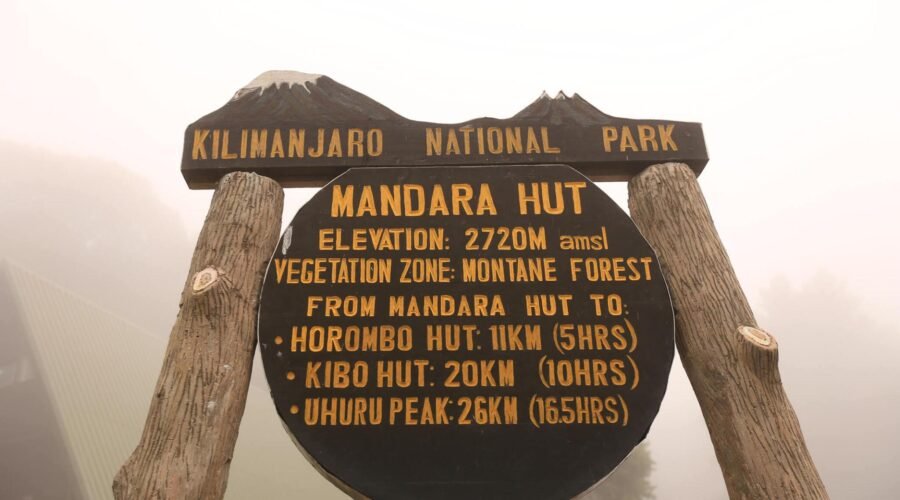 2025 Kilimanjaro Climbing Groups: Dates and Details for an Unforgettable Adventure