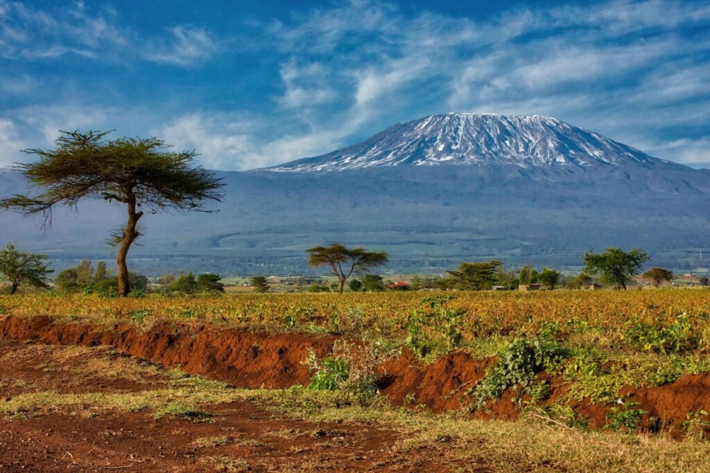 6-Day Rongai Route Climb: Quiet and Remote Kilimanjaro Trek