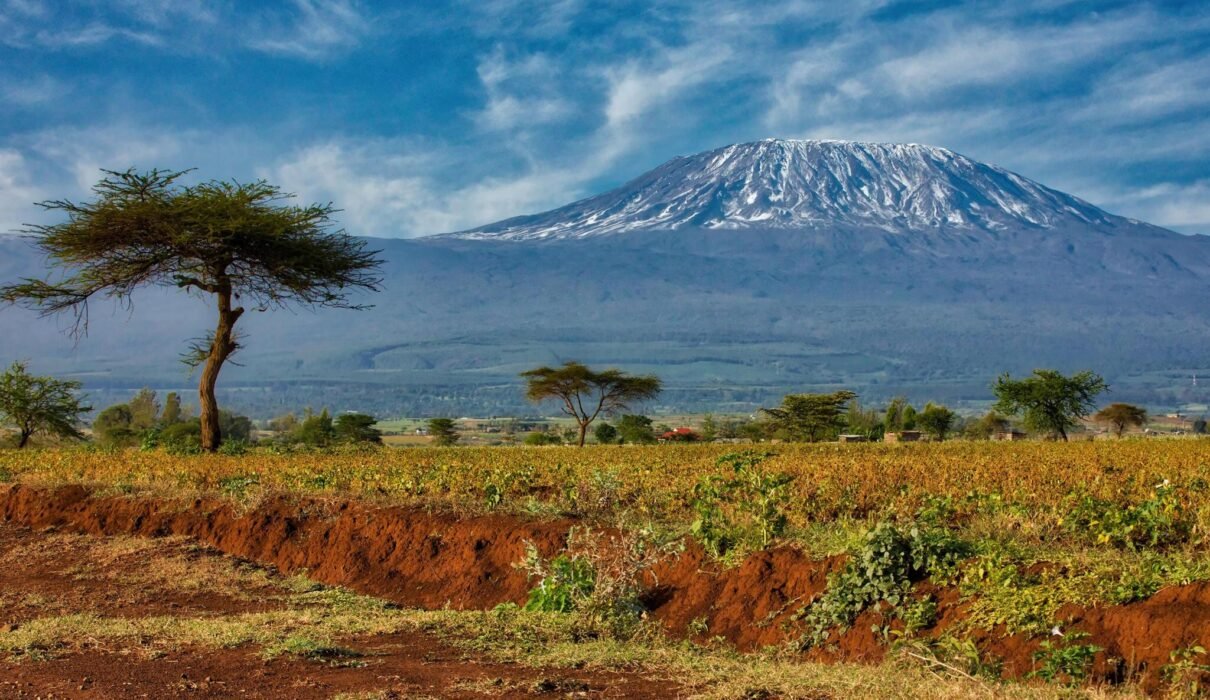 6-Day Rongai Route Climb: Quiet and Remote Kilimanjaro Trek