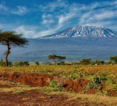 6-Day Rongai Route Climb: Quiet and Remote Kilimanjaro Trek