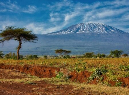 6-DAYS KILIMANJARO HIKING