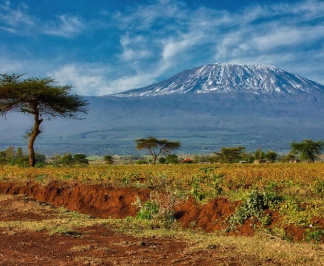 6-Day Rongai Route Climb: Quiet and Remote Kilimanjaro Trek