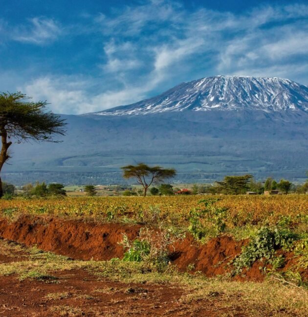6-DAYS KILIMANJARO HIKING