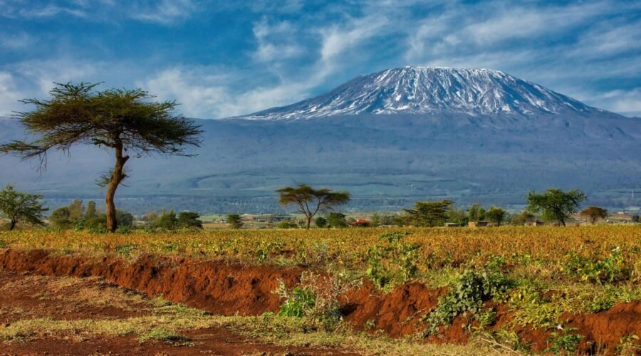 6-Day Rongai Route Climb: Quiet and Remote Kilimanjaro Trek