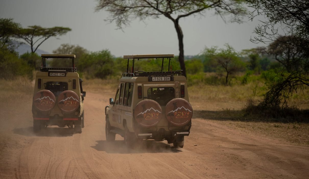 Tanzanie Safari: Your Ultimate Wildlife Adventure in 2027 & 2028