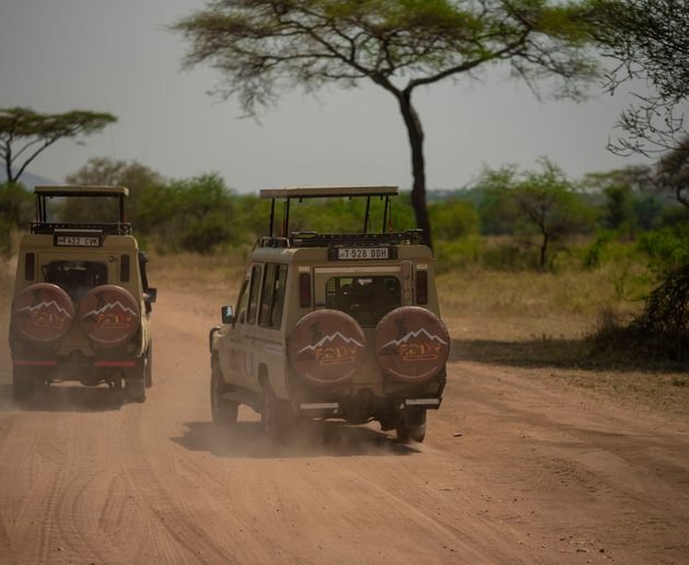 Tanzanie Safari: Your Ultimate Wildlife Adventure in 2027 & 2028