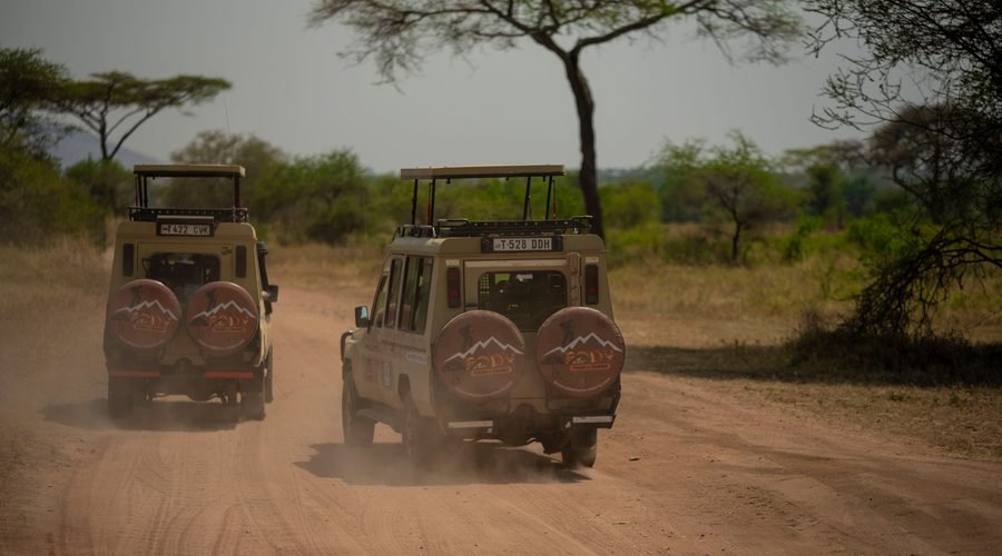 Tanzanie Safari: Your Ultimate Wildlife Adventure in 2027 & 2028