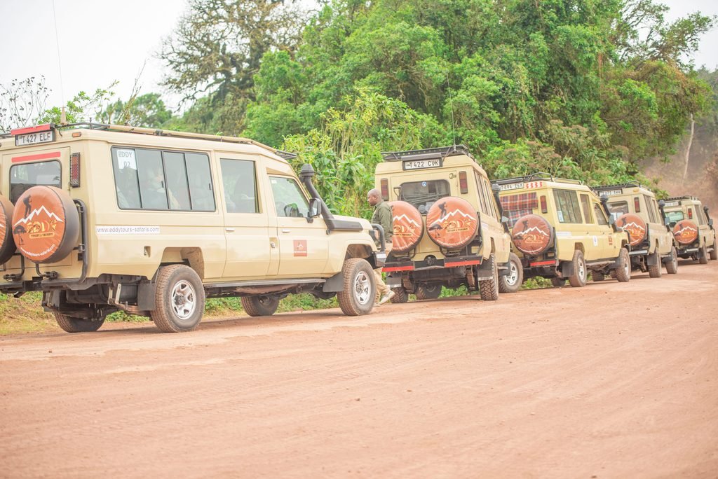 The Ultimate Guide to Tanzania Safari Cost in 2027 and 2028: Budget, Mid-Range and Luxury Safari Prices The Ultimate Guide to Tanzania Safari Cost in 2027 and 2028: Budget, Mid-Range and Luxury Safari Prices
