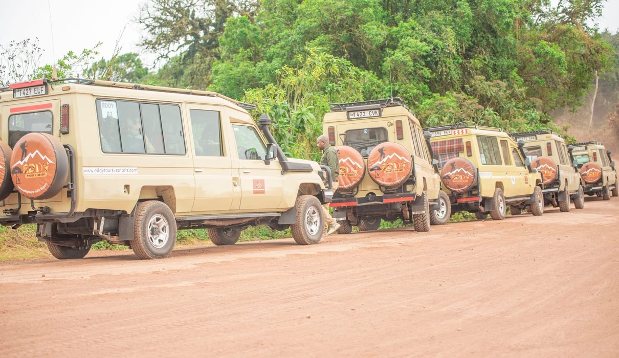 The Ultimate Guide to Tanzania Safari Cost in 2027 and 2028: Budget, Mid-Range and Luxury Safari Prices