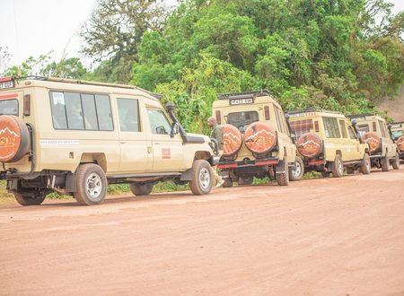 The Ultimate Guide to Tanzania Safari Cost in 2027 and 2028: Budget, Mid-Range and Luxury Safari Prices