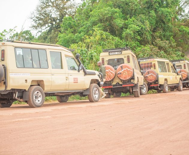 The Ultimate Guide to Tanzania Safari Cost in 2027 and 2028: Budget, Mid-Range and Luxury Safari Prices