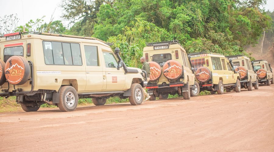 The Ultimate Guide to Tanzania Safari Cost in 2027 and 2028: Budget, Mid-Range and Luxury Safari Prices