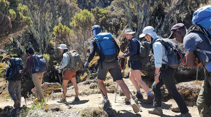 The Ultimate 5-Day Marangu Route Kilimanjaro Climb 2027/2028: Complete Itinerary, Costs and Travel Guide